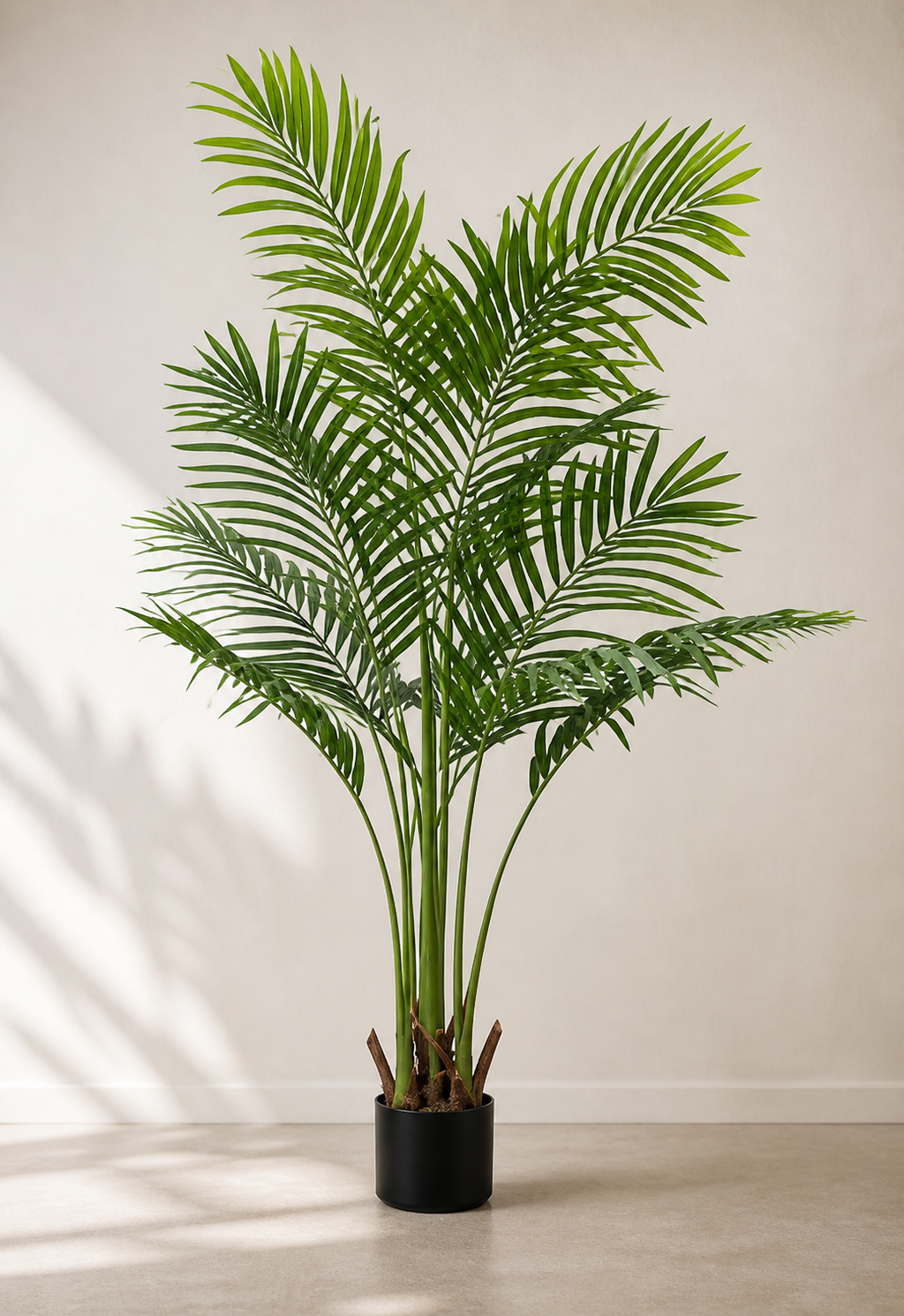 The Palm